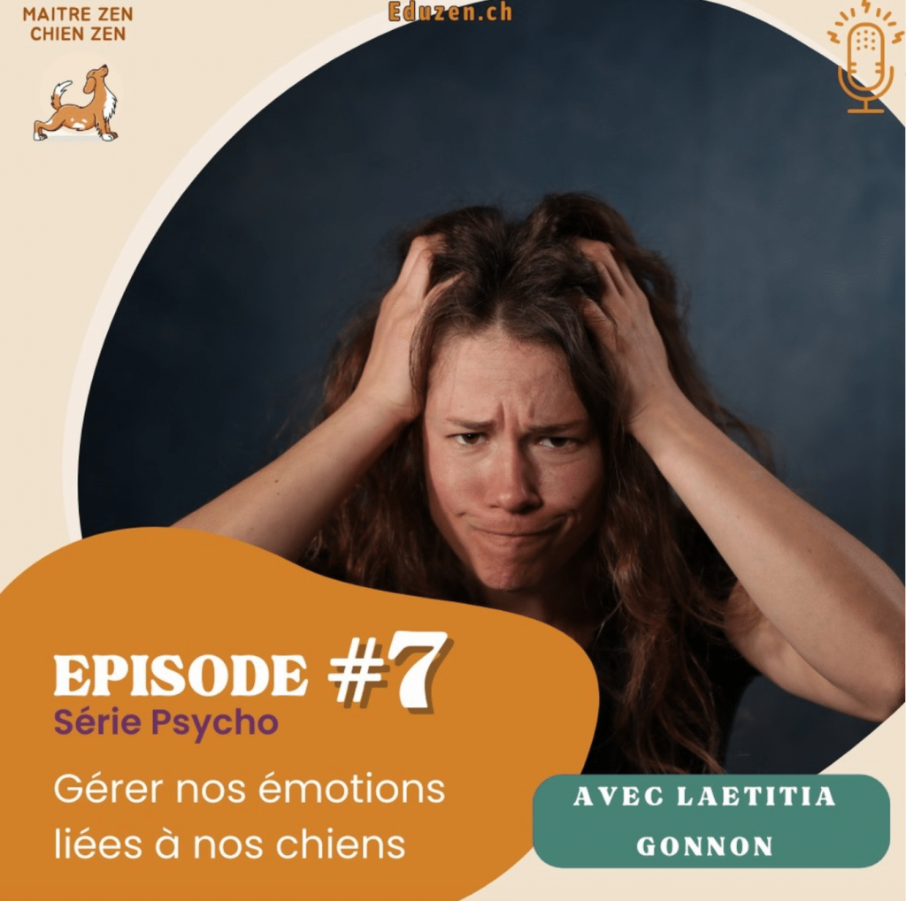 Gérer nos émotions par rapport à nos chiens